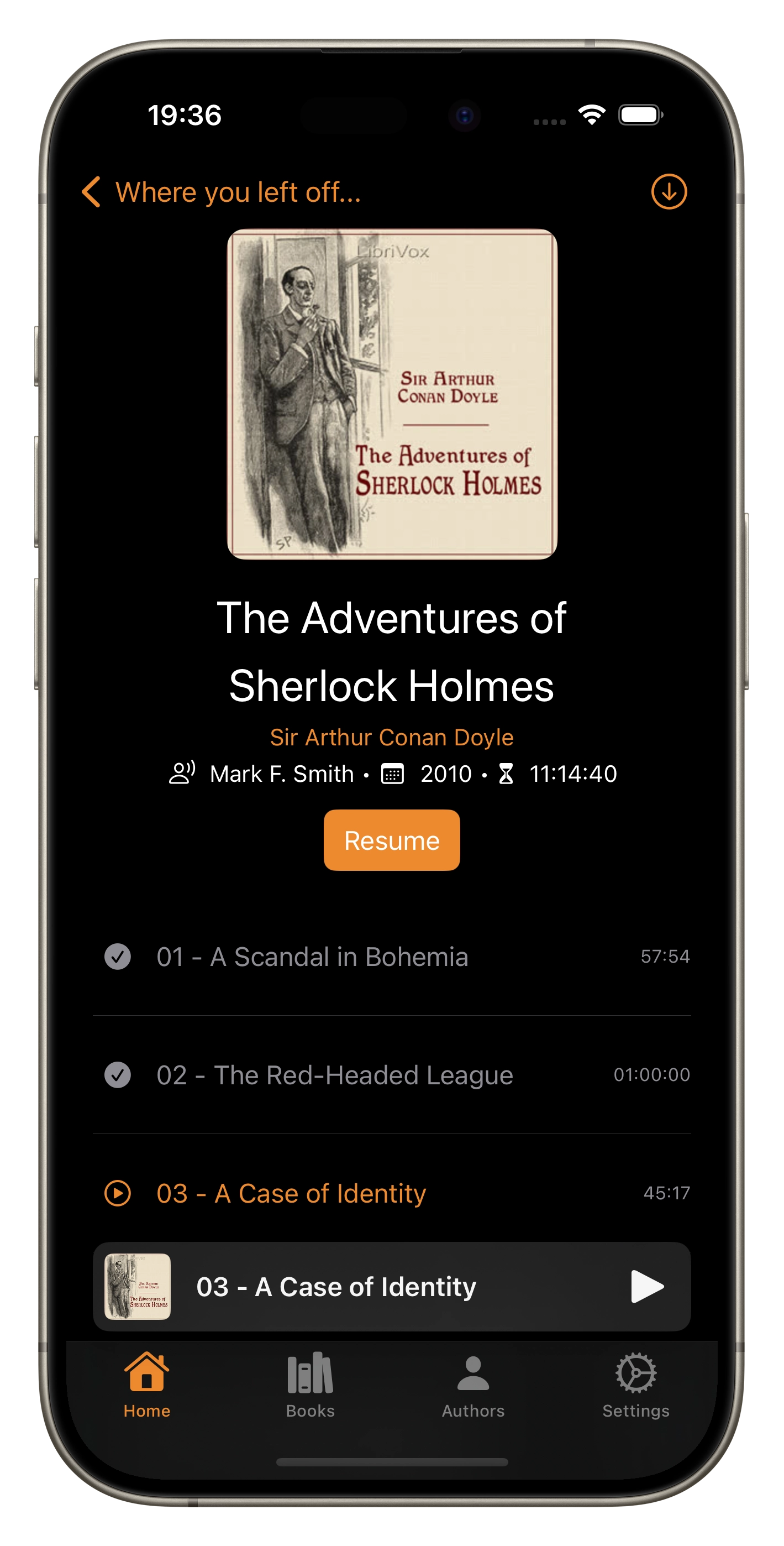 Screenshot showing the detail view of an audiobook